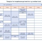 Timeplan for bassenget med hev og senkbunn 2018